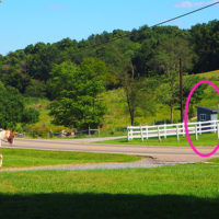 電話を持たないアーミッシュの連絡方法