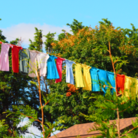 増えるアーミッシュ、減る日本人。テクノロジーは生き残る力ではない? 増えるアーミッシュ、減る日本人。テクノロジーは生き残る力ではない?