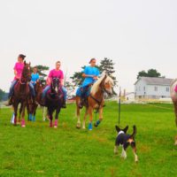 日本人女性とアーミッシュ女性比較。一生分の服・メイク代の差は700万円以上！？